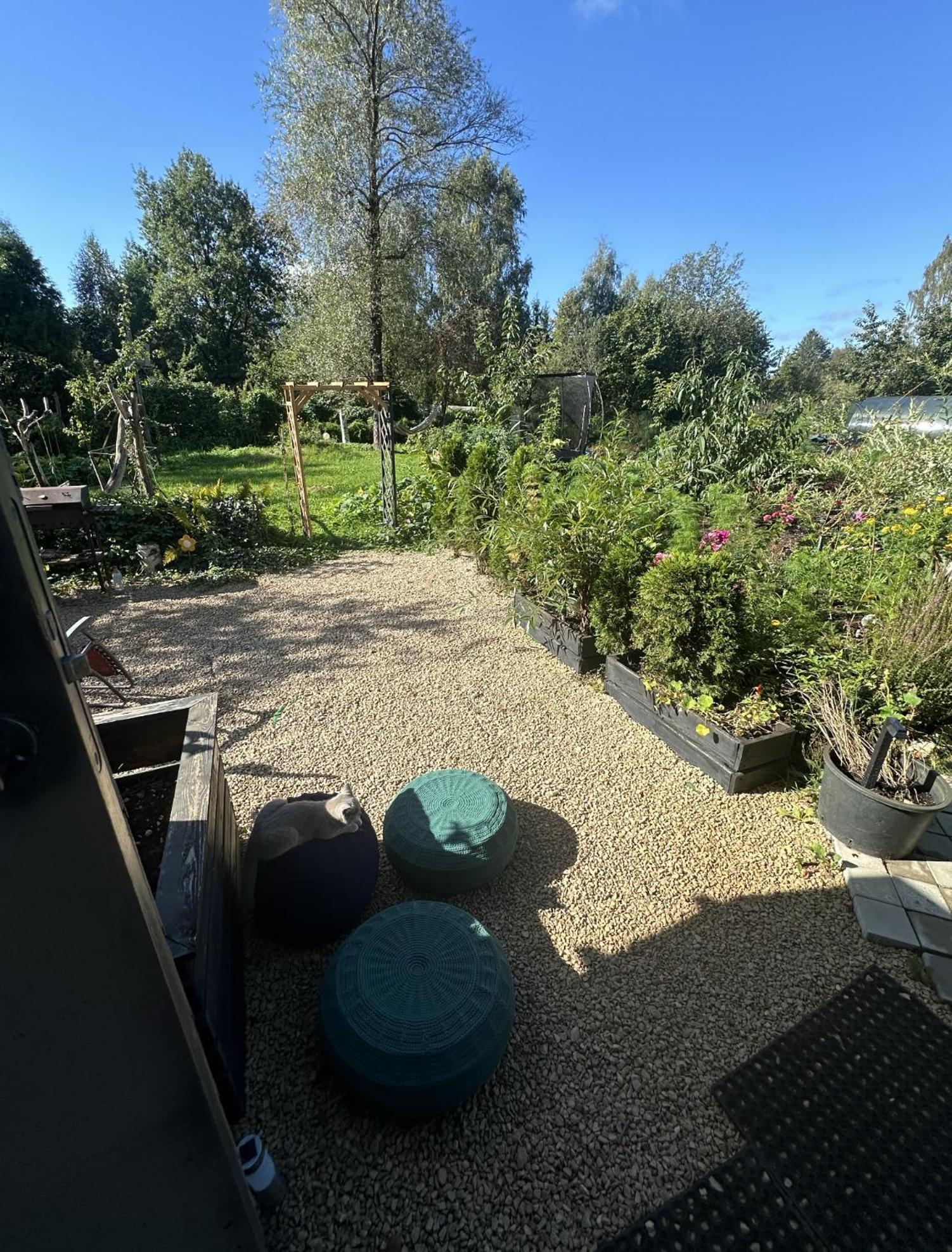 Amazing Little House On An Island With Garden Loma-asunnot